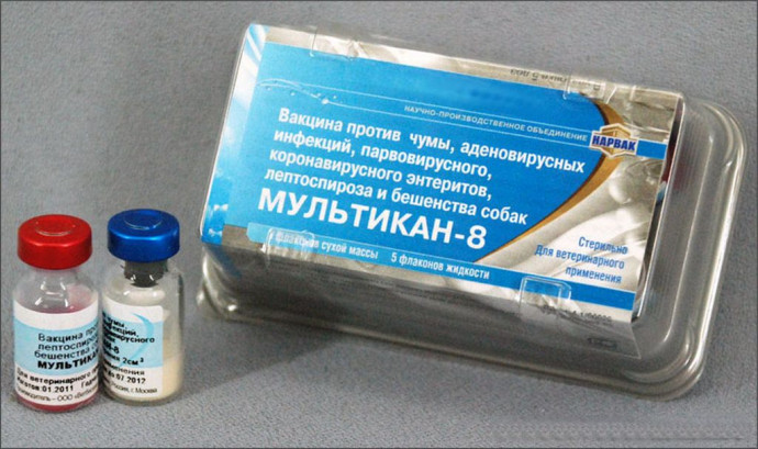 Мультикан-8 (1 флакон-1 доза) Мультикан-8 (1 флакон-1 доза)