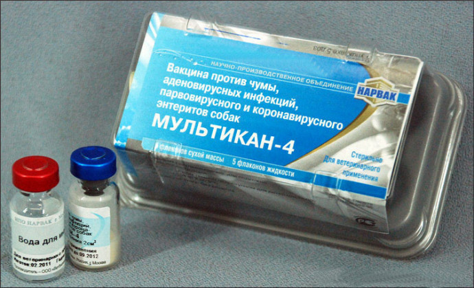 Мультикан-4 (1 флакон -1 доза) Мультикан-4 (1 флакон -1 доза)