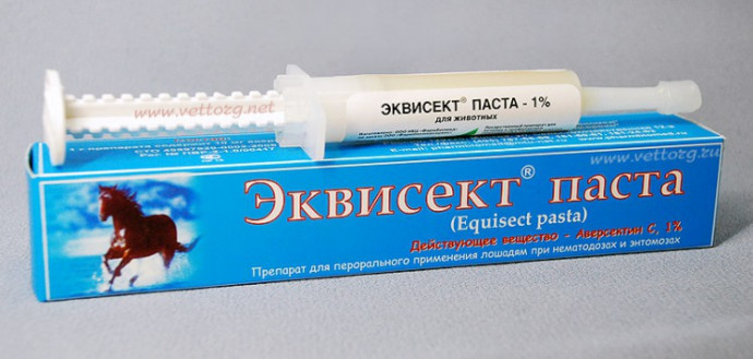 Эквисект паста 14 гр