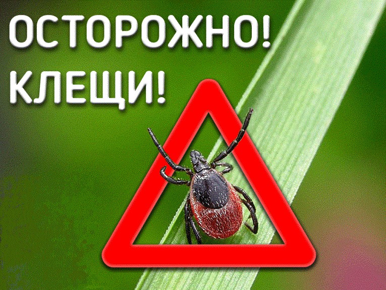 Осторожно Клещи!!!! Успей защитить себя и животных!