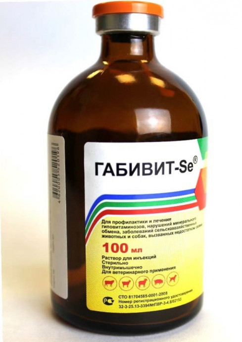 Габивит-Se-100мл Габивит-Se-100мл