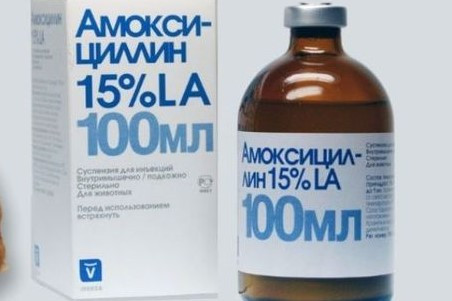 Амоксициллин 15% -100мл