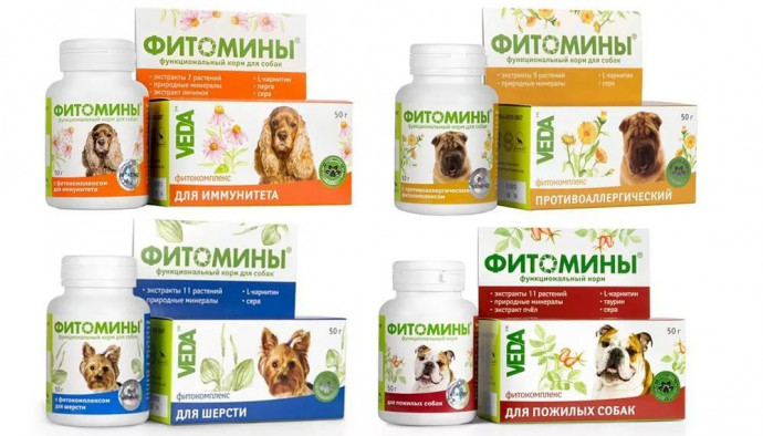 Витамины "Фитомины в ассортименте "для собак и кошек 100 таблеток Витамины "Фитомины в ассортименте "для собак и кошек 100 таблеток