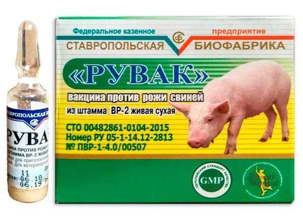 Вакцина против рожи свиней из штамма ВР-2 живая сухая (10 доз) Вакцина против рожи свиней из штамма ВР-2 живая сухая (10 доз)